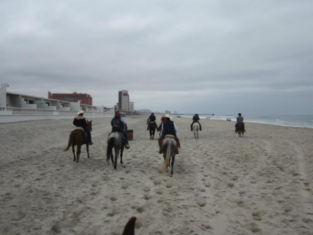 Rutas a caballo por la playa